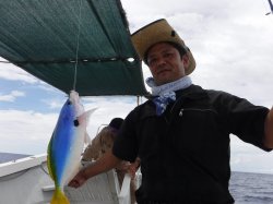 �s�d�`�l�Ôg�Á@�ɍ]���Y��ȃO���N���ł��ˁ`�`�`�I