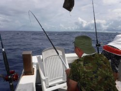 �r���g�@�ɍ]��