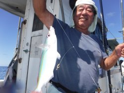 �^�}�L�g�@�ɍ]��