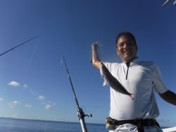 �^�}�L�g�@�ɍ]��