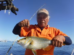 �^�}�L�g�@�ɍ]��