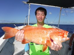 �^�}�L�g�@�ɍ]��