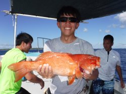 �^�}�L�g�@�ɍ]��