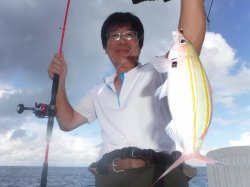 ���{����S����@�ǒJ��