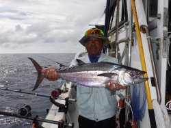 �s�d�`�l�Ôg�Á@�ɍ]��