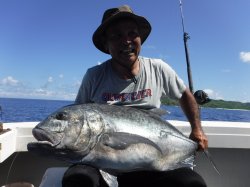 �s�d�`�l�O���N�@�n���쓇17.93kg �f�s�i�W���C�A���g�g���o���[�j���E�j���A�W