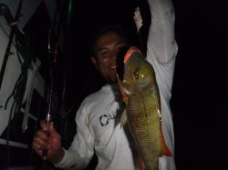 �s�d�`�l�O���N�@�n���쓇