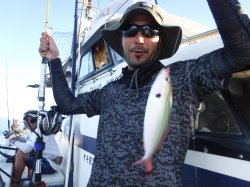 �s�d�`�l�O���N�@�n���쓇