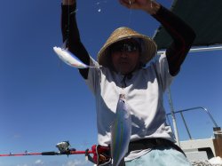 �s�d�`�l�O���N�@�@�n���쓇