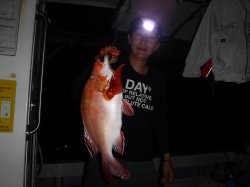 �s�d�`�l�O���N�@�n���쓇