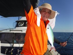 �s�d�`�l�O���N�@�n���쓇