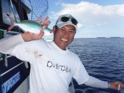 �s�d�`�l�O���N�@�n���쓇