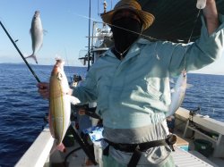 �s�d�`�l�O���N�@�n���쓇�O���N�����務�ł�