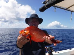 �`�[����Á@�n���쓇