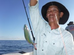 �s�d�`�l�O���N�@�n���쓇