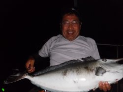 �s�d�`�l�O���N�@�n���쓇�ǌ^�̃`�k�}���i�e���O�n�M�j