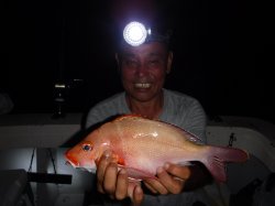 �s�d�`�l�O���N�@�n���쓇