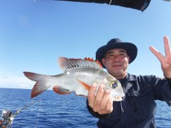 �`�[����Á@�n���쓇