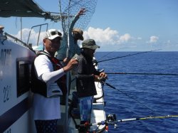 �s�d�`�l�O���N�@�@�n���쓇