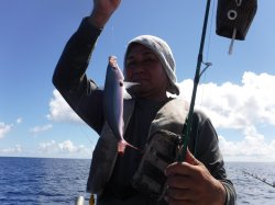 �`�[����Á@�n���쓇