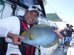 �s�d�`�l�O���N�@�@�n���쓇�g�J�W���[�i�j�Z�J�������n�M�j