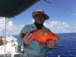 �s�d�`�l�O���N�@�n���쓇