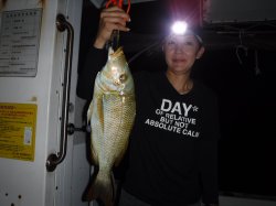 �s�d�`�l�O���N�@�n���쓇