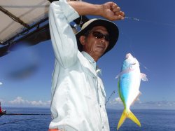 �s�d�`�l�O���N�@�@�n���쓇